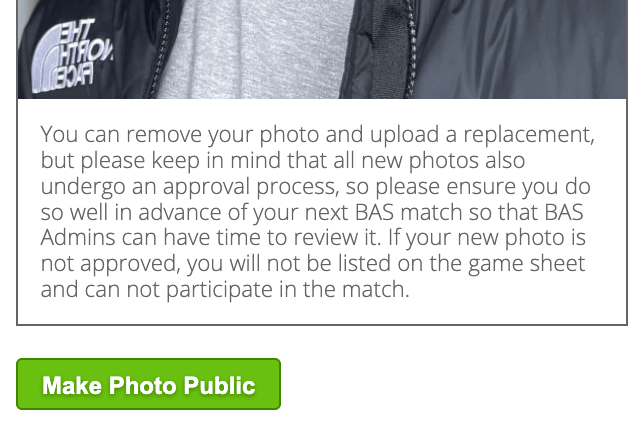 The "Make your photo public" button.